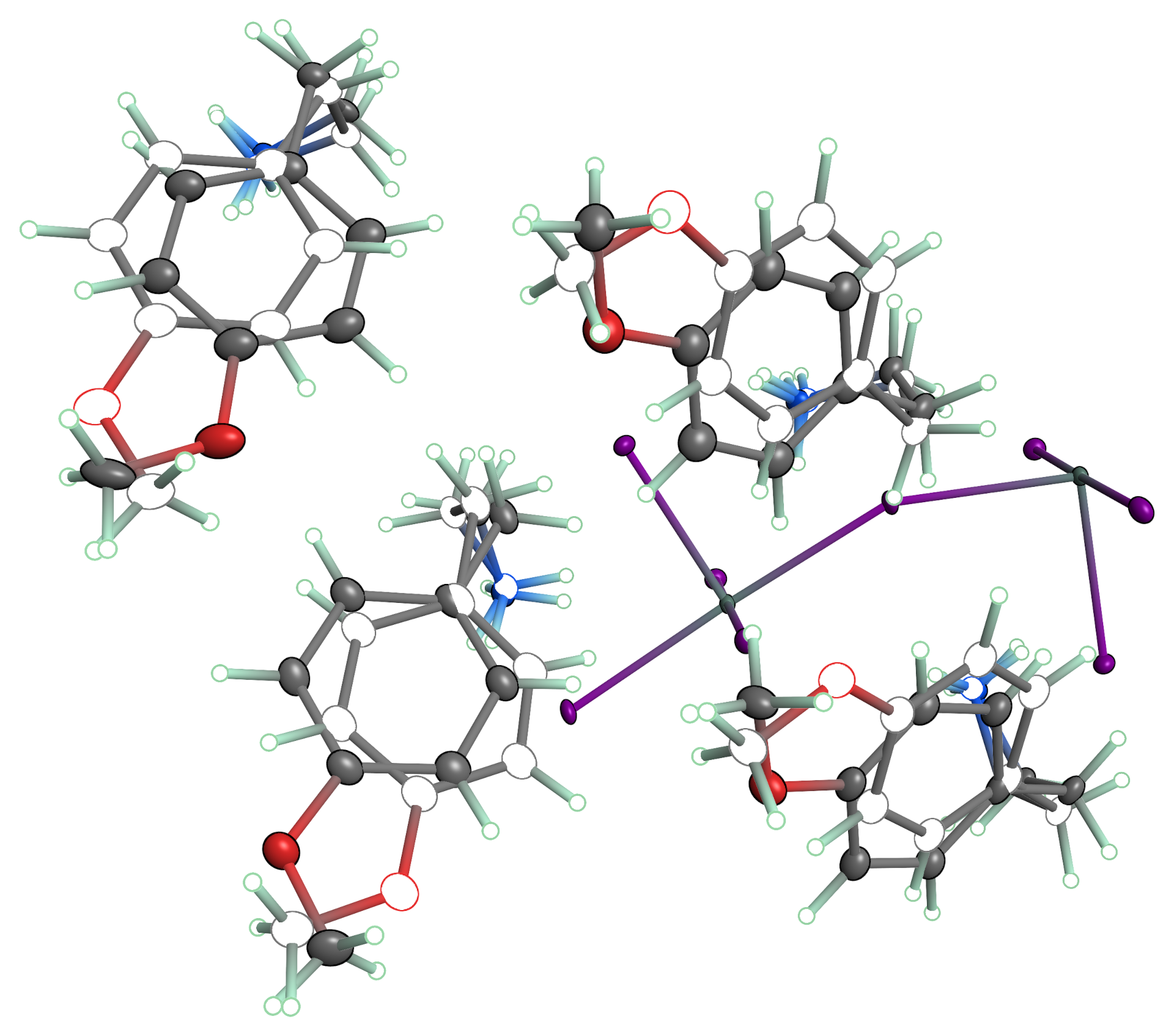 Disorder in primeXP