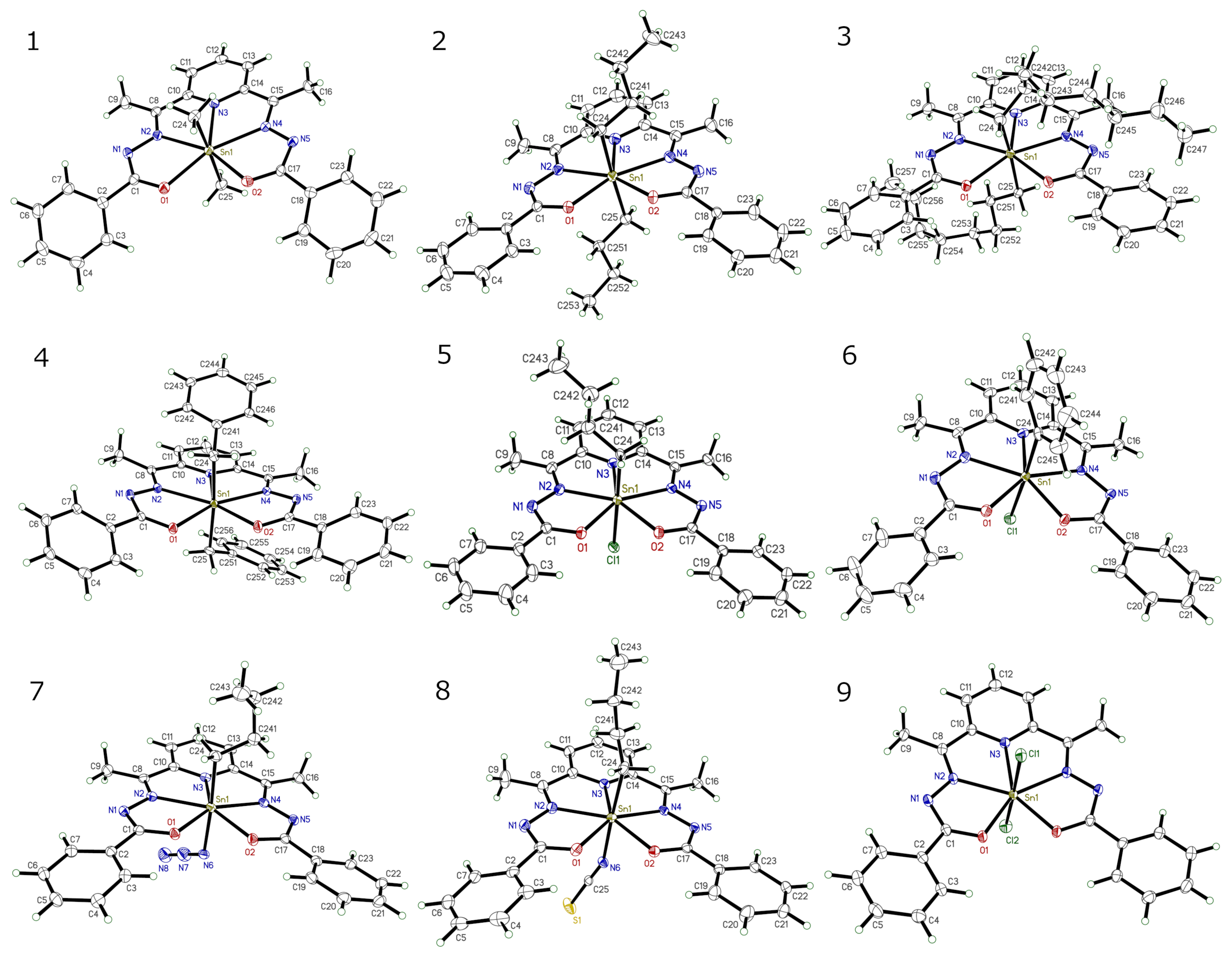 9Sn-complexes-overlay