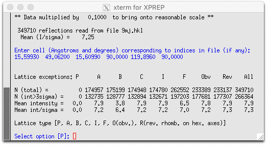 B21-xprep-1